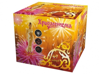 Хризантема Салют купить в Таганроге | taganrog.salutsklad.ru