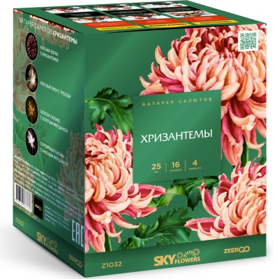 Хризантемы Фейерверк купить в Таганроге | taganrog.salutsklad.ru