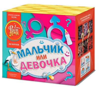 Мальчик или девочка М Фейерверк купить в Таганроге | taganrog.salutsklad.ru